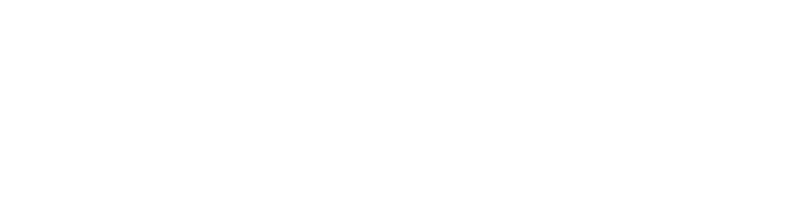 wave