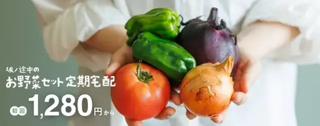 初回1280円から!旬のお野菜をセットにしてお届け、坂ノ途中