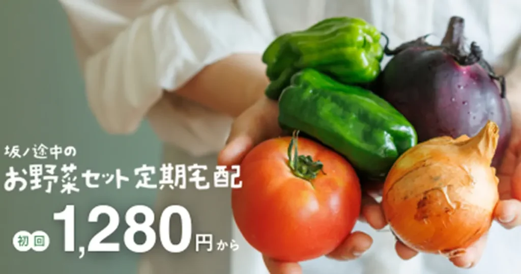 初回1280円から！旬のお野菜をセットにしてお届け、坂ノ途中