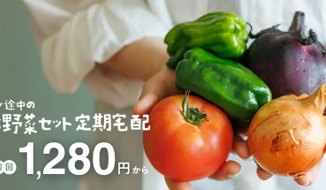 初回1280円から！旬のお野菜をセットにしてお届け、坂ノ途中