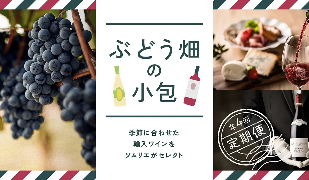 旬の食材に合わせたワインの定期便 ぶどう畑の小包