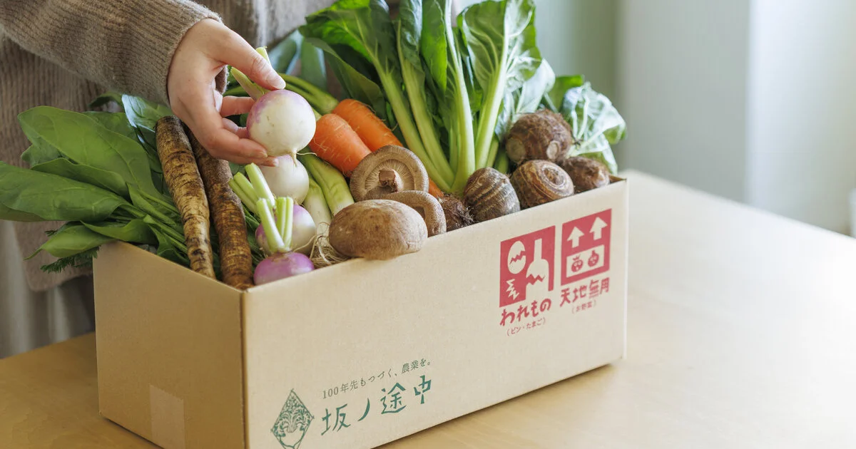 自分の好きなペースで新鮮な野菜を受け取れる、坂ノ途中 旬のお野菜セット